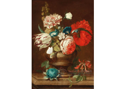 DDSO-1922 Cornelis Verelst - Zátiší s květinami