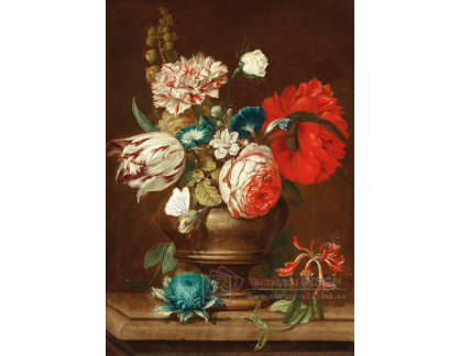 DDSO-1922 Cornelis Verelst - Zátiší s květinami