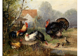 VSO 1085 Julius Scheuerer - Slepice a krocani