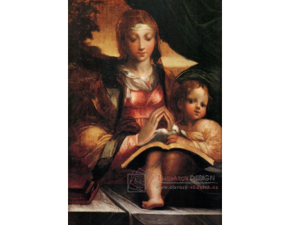 SO VII-226 Parmigianino - Madonna Doria