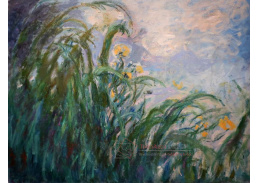 A-276 Claude Monet - Žluté kosatce