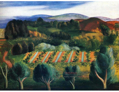 A-8275 Moise Kisling - Krajina v Provence