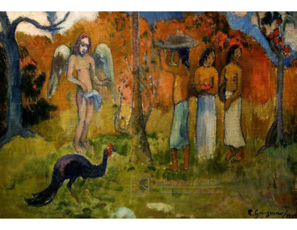 D-8916 Paul Gauguin - Pariduv soud