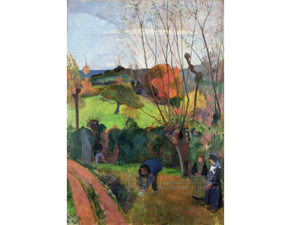 A-146 Paul Gauguin - Vrby