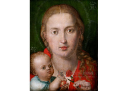 VR12-13 Albrecht Dürer - Madonna s karafiátem