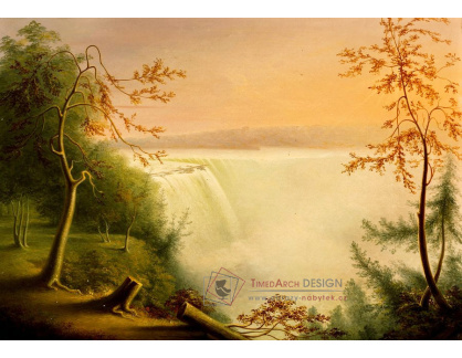 DDSO-4180 Rembrandt Peale - Niagarské vodopády