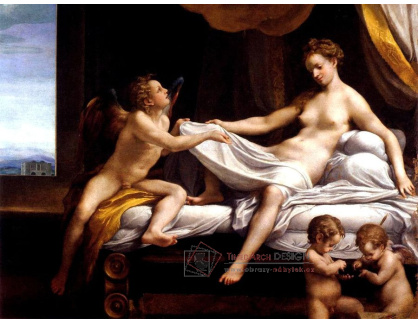 SO IV-409 Antonio da Correggio - Danae