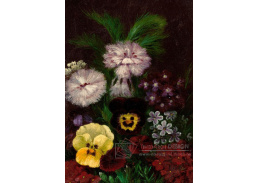 VKZ 524 Neznámý autor - Zátiší s květinami