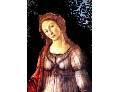 VR17-12 Sandro Botticelli - Primavera, detail