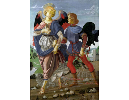 SO VII-216 Andrea del Verrocchio - Tobiáš a anděl