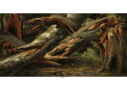 A-2560 Alexandre Calame - Zlomený strom