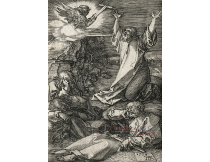VR12-120 Albrecht Dürer - Kristus na hoře Olivetské