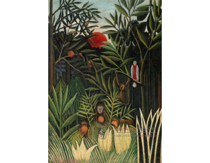 D-7890 Henri Rousseau - Opice a papoušek v Panenském lese