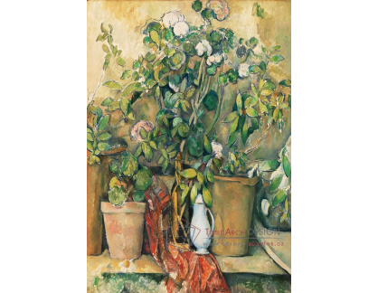 D-8003 Paul Cézanne - Terakotové květináče a květiny