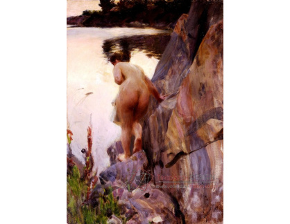 VSO245 Anders Zorn - Letní večer