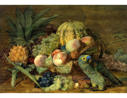 VZ066 Ferdinand Georg Waldmuller - Zátiší s ovocem a papouškem