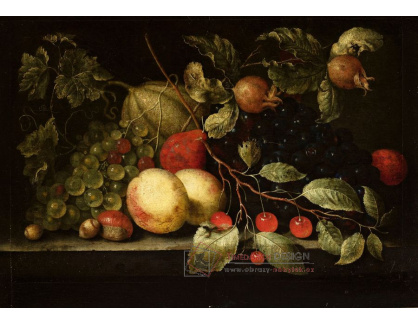 A-2007 Cornelis de Bryer - Zátiší s granátovými jablky a třešněmi