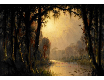 A-2349 Joseph Rusling Meeker - Bayou Teche v Louisianě