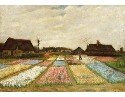 DDSO-4294 Vincent van Gogh - Květinové záhony v Holandsku