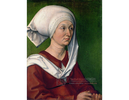 DDSO-5365 Albrecht Dürer - Portrét Dürerové matky Barbary