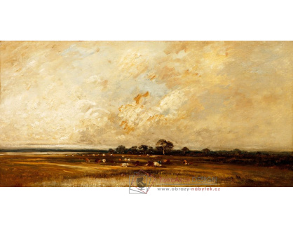 D-8372 Jules Dupré - Marshland