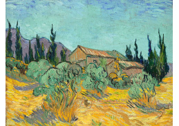 VR2-150 Vincent van Gogh - Chaty obklopené olivovníky a cypříši