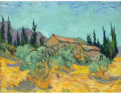 VR2-150 Vincent van Gogh - Chaty obklopené olivovníky a cypříši