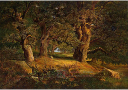VCM 145 Alois Kirnig - Lesní krajina