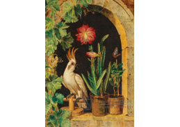 D-8627 Ferdinand Küss - Kakadu v okně s kvetoucím kaktusem a motýlem