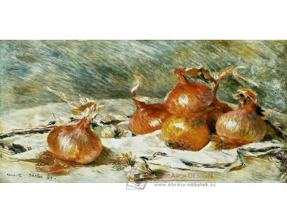 R14-146 Pierre-Auguste Renoir - Cibule