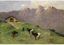 SO VIII-38 Arthur Heyer - Kozy na horských pastvinách