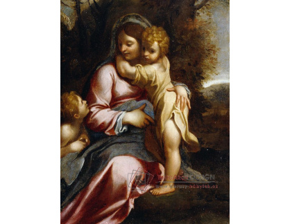 XV-129 Aniballe Carracci - Madonna a dítě se svatým Janem