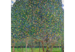 A-6704 Gustav Klimt - Hrušeň