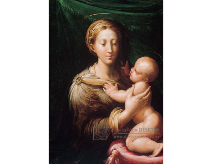 DDSO-2945 Parmigianino - Madonna s dítětem