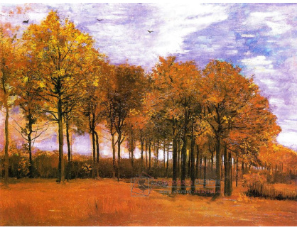 VR2-145 Vincent van Gogh - Podzimní krajina