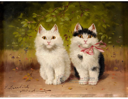 VN-227 Sophie Sperlich - Dvě koťata