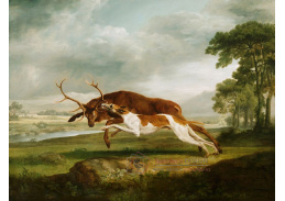 SOX-433 George Stubbs - Lov na jelena