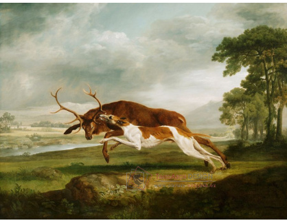 SOX-433 George Stubbs - Lov na jelena