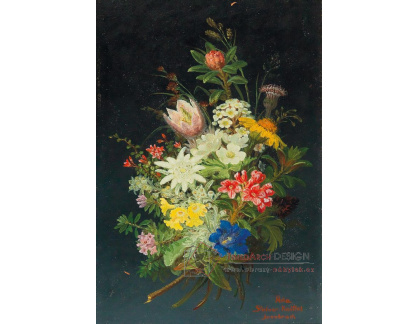 DDSO-4659 Anna Stainer-Knittel - Kytice alpských květin