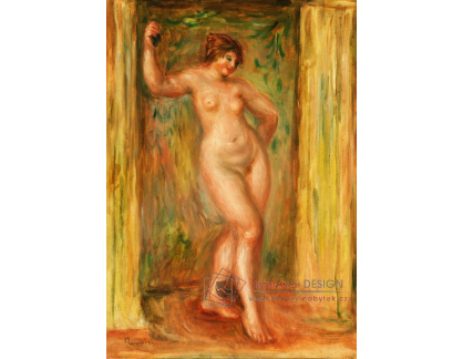 D-6957 Pierre-Auguste Renoir - Ženský akt