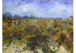 VR2-91 Vincent van Gogh - Zelená vinice