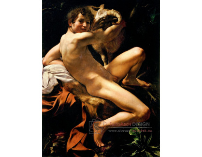 XV-282 Caravaggio - Svatý Jan Křtitel