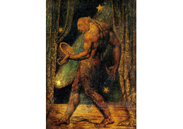 KO V-331 William Blake - Duch z Flea