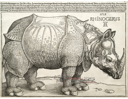 VR12-178 Albrecht Dürer - Nosorožec