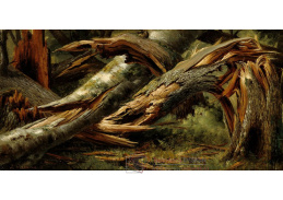 D-8314 Alexandre Calame - Zlomený strom