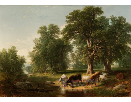 VSO 612 Asher Brown Durand - Letní odpoledne