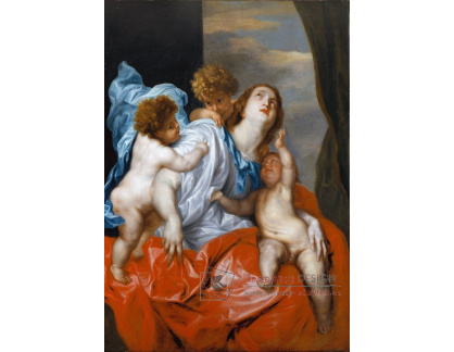 XV-136 Anthony Van Dyck - Charita