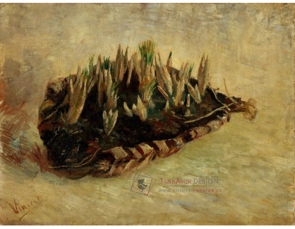 A-3183 Vincent van Gogh - Košík šafránových cibulí