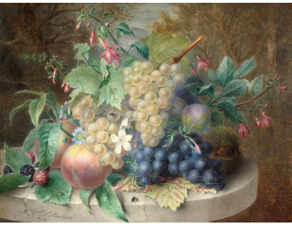 A-5031 Adéle Hippolyte L'Allemand - Zátiší s ovocem