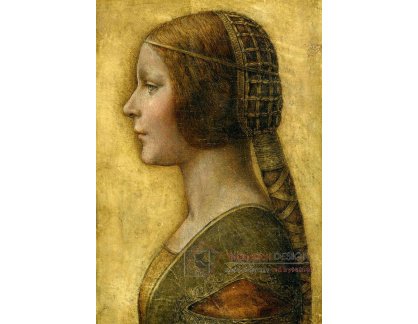 VR1-11 Leonardo da Vinci - Mladá snoubenka